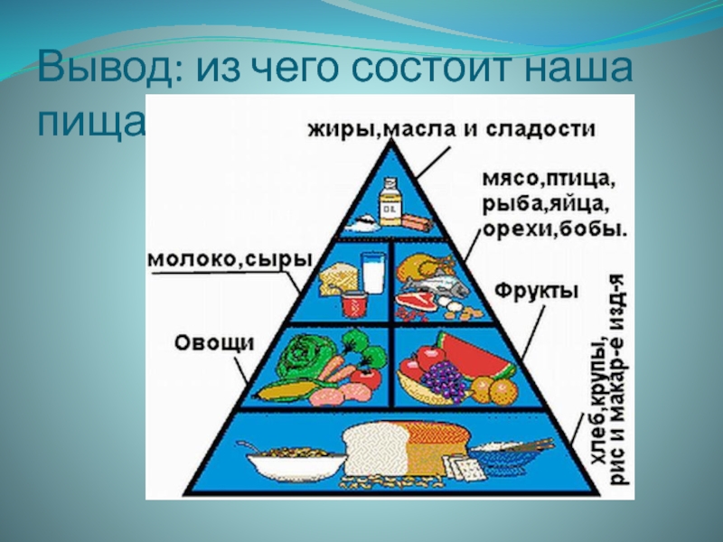 Проект состоит из