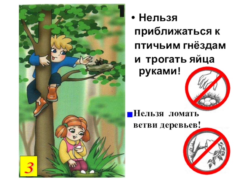 Почему нельзя приближаться. Нельзя ломать деревья. Запрещается ломать деревья. Нельзя ломать ветви деревьев. Не ломать деревья знак для детей.