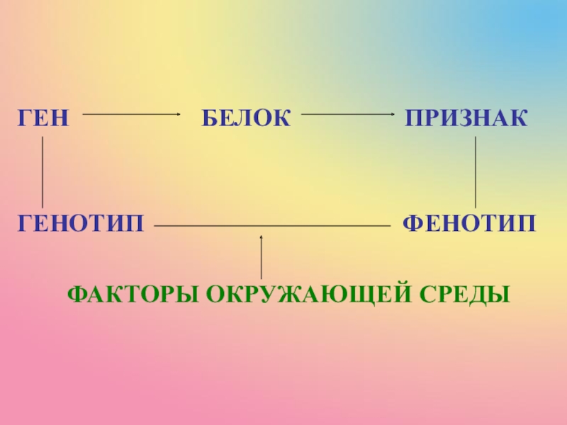 Взаимодействие генотипа и среды при формировании признака презентация