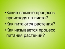 Презентация по биологии на тему Фотосинтез. Образование органических веществ в листьях (в соответствии с ФГОС) (5 класс)