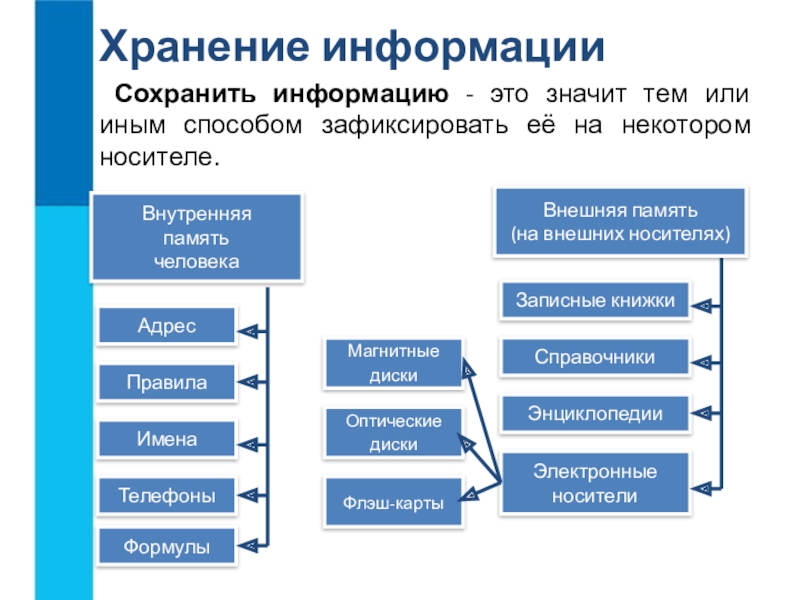 Индивидуальный проект 11 класс информатика