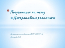 Декоративные растения