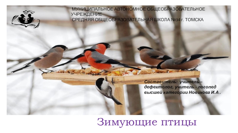 Презентация Презентация к занятию  Зимующие птицы