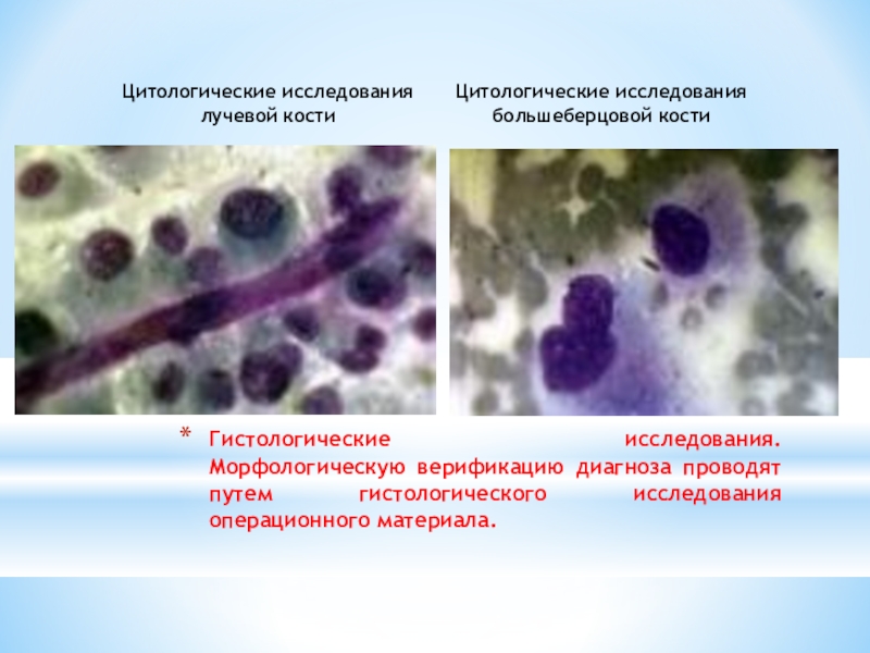 Цитологический метод презентация