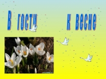 В гости к весне окружающий мир