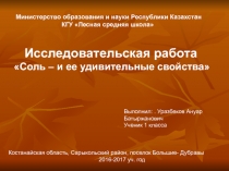 Презентация Соль и её удивительные свойства