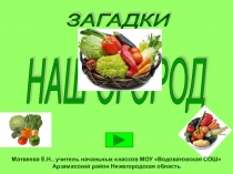 Презентация по окружающему миру Загадки Наш огород