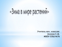 Презентация к уроку окр мир Зима в мире растений