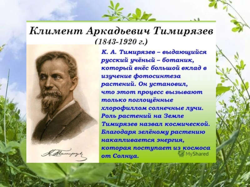 Проект ботаник 33 на русском. Открытия Тимирязева в биологии.