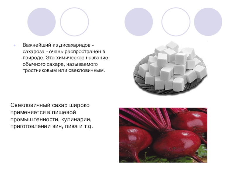 Сахароза в природе. Дисахариды нахождение в природе. Нахождение в природе сахарозы. Дисахариды в пищевой промышленности.