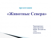 Презентация Путешествие на Север
