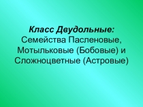 Презентация по биологии Класс Двудольные. Семейства Пасленовые,Мотыльковые (Бобовые) и Сложноцветные (Астровые)