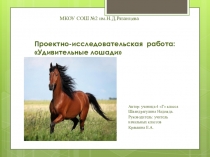 Презентация проекта Эти удивительные лошади