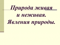 Презентация по Окружающему мору Явления природы