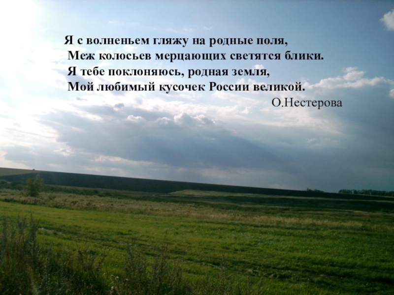 Поле высказывание. Родные просторы стихи. Стихи о родных просторах. Стихотворение на тему родные просторы. Презентация родные просторы.