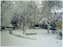 Презентация по русскому языку на тему Одушевлённые и неодушевлённые имена существительные