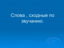 Презентация по русскому языку Слова сходные по звучанию