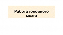 Презентация по теме: Работа головного мозга