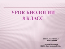 Презентация по биологии на тему Пищеварение (8 класс)