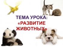 Презентация по окружающему миру Развитие животных