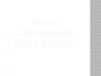 Презентация  Поможем вместе птичкам зимой