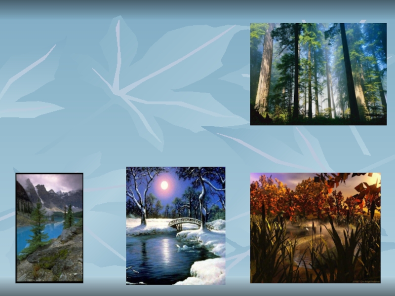 Презентация по немецкому языку на тему: Времена года