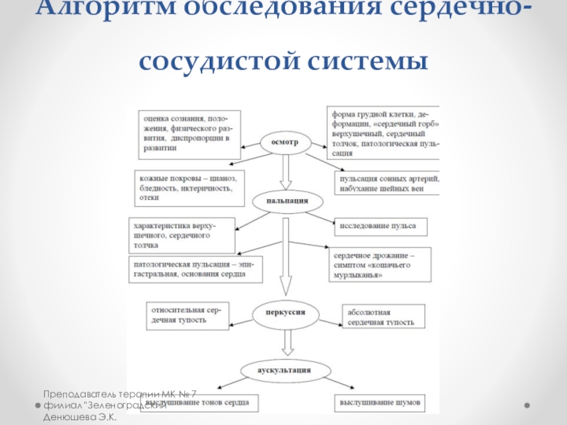 Схема общего обследования больного