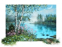 Презентация по биологии на тему: Скопа - птица 2018 года (7 класс)