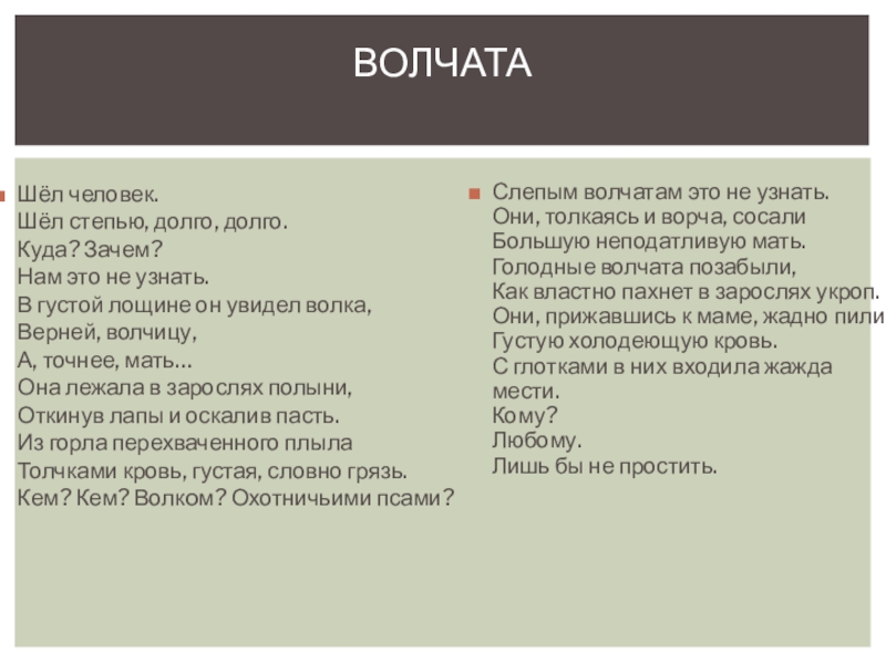 Тема стихотворения волчата о сулейменов