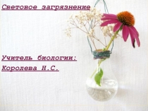 Презентация по биологии на тему Световое загрязнение