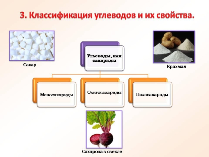 Углеводы проект по химии 10 класс