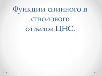 Функции спинного и стволового отделов ЦНС