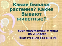 Презентация по окружающему миру на тему Какие бывают животные?(2 класс)
