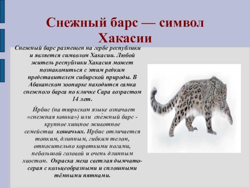 Как ты думаешь почему изображение снежного барса находится на гербе республики хакасия