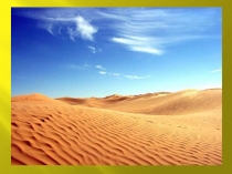 Презентация по окружающему миру Пустыня