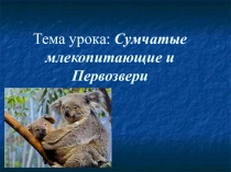Презентация по биологии на тему Первозвери и сумчатые (7 класс)