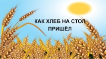 Презентация Как хлеб на стол пришел
