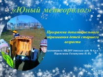 Реализация программы Юный метеоролог с детьми старшего возраста. Презентация.