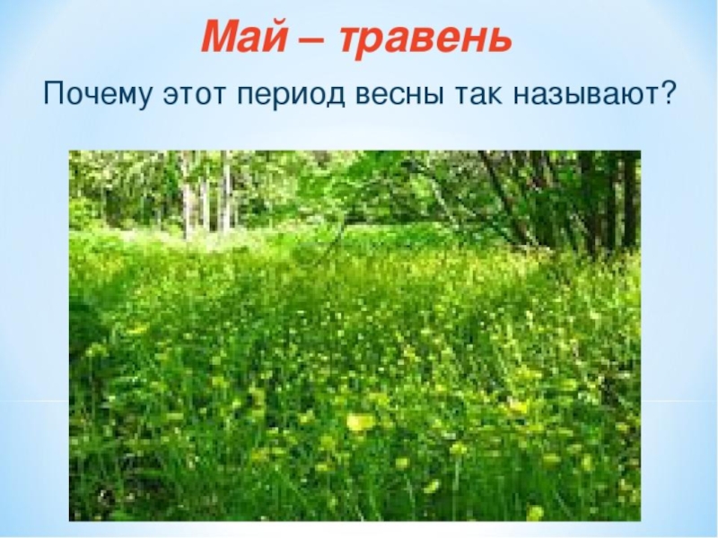 Как в народе называют май. Май травень. Май травень для дошкольников. Весенние месяцы. Травень месяц май.