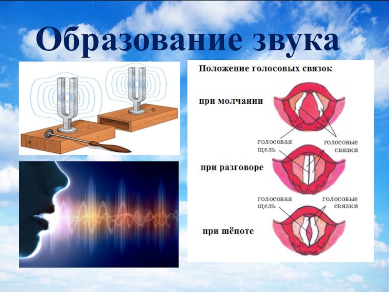 Звук нападения. Процесс образования звука. Механизм образования звука в физике. Образование голосовых связок.