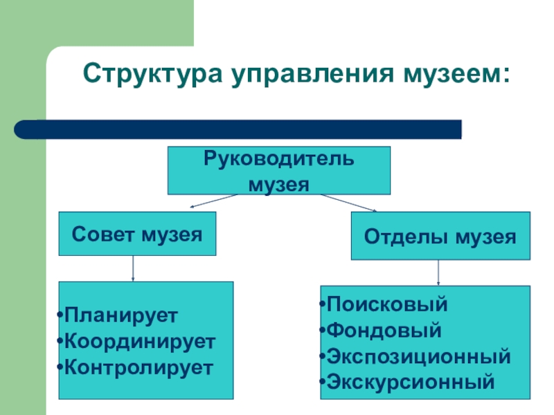 Структура музея схема