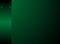 Конспект и презентация по ОБЖ Укусы насекомых, паукообразных, змей. Клещевой энцефалит