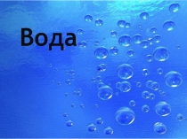 Презентация по биологии на тему Вода