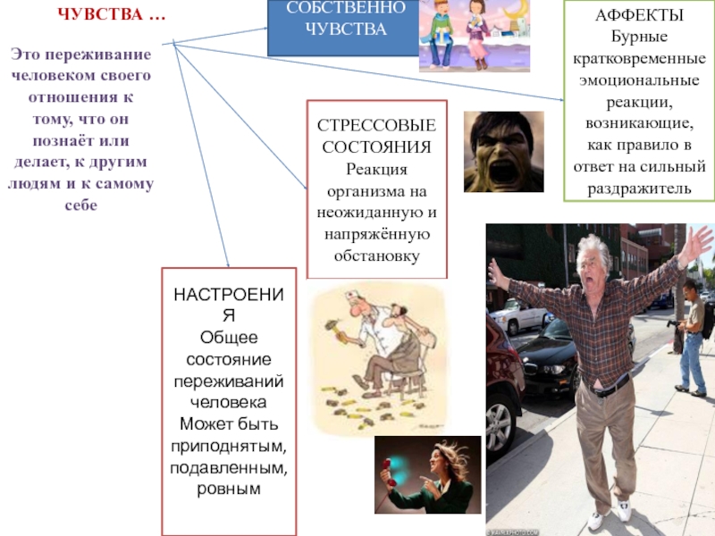 7 чувство. Психологический портрет личности по обществознанию. Психологический портрет творческой личности. Бурные кратковременные реакции человека на сильный раздражитель. Автопортрет личности Обществознание.