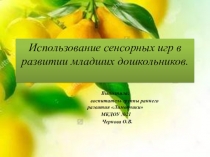 Презентация  Использование сенсорных игр в развитии младших дошкольников