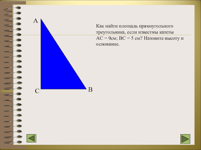 Найти площадь прямоугольного треугольника если известно. Площадь треугольника если известны катеты. Как найти площадь треугольника если известны катеты. Как найти площадь прямоугольного треугольника если известны. Площадь прямоугольного треугольника если известны катеты.