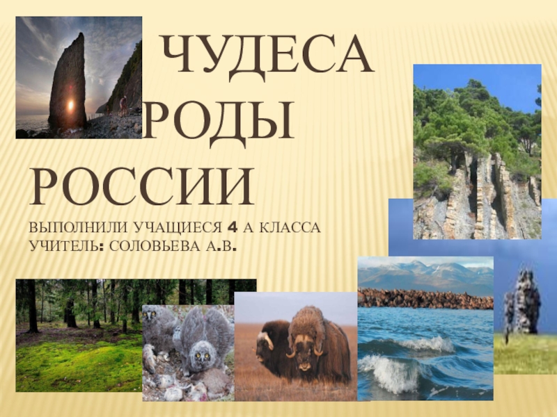 Презентация Проект Чудеса природы России