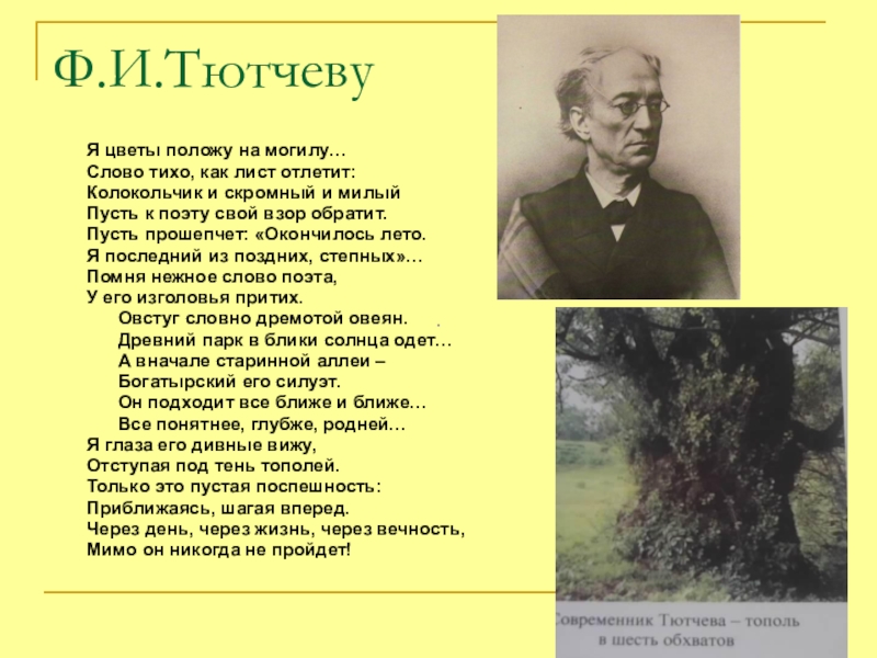 Тютчев чему бы жизнь нас не учила. Стихи фёдора Ивановича Тютчева. Тютчев последний лист. Ф И Тютчев первый лист. Ф И Тютчев первый лист текст.