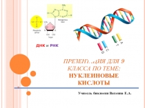Нуклеиновые кислоты (9 класс)
