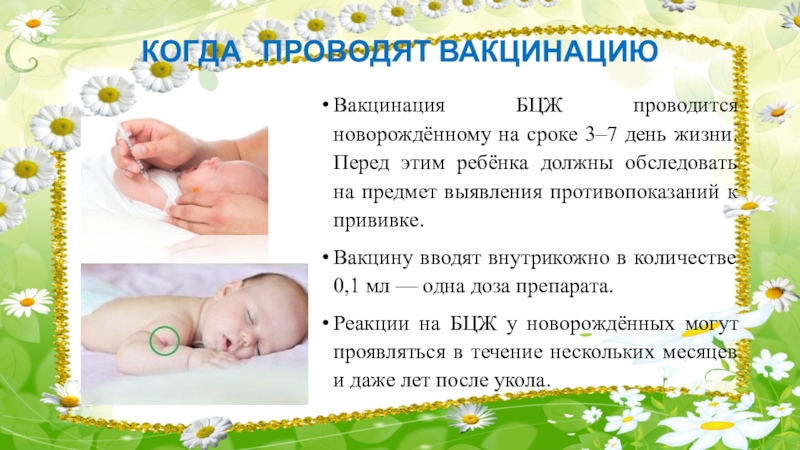 Через сколько купать после прививки. Вакцинация БЦЖ проводится новорожденному на сроке дни.